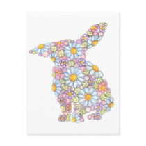 Floppy-Eared Bunny Post Card