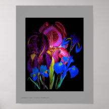 Flora Exotica 11x14 Poster