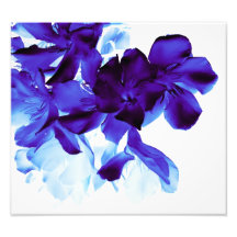 floral photos sur toile