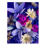 Floral Arrangement 313b Post Cards