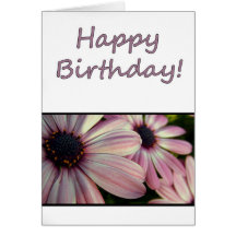 Floral Birthday 5 Greeting Cards