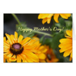 Floral Black Eyed Susans Photo Mother's Day Blank cards