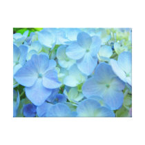 Floral Blue Hydrangea Flowers art prints Gallery Wrapped Canvas
