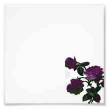 Floral Border Photo Print