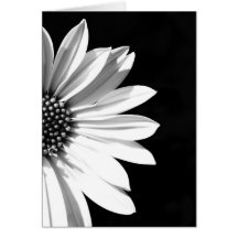 floral cartes de vœux