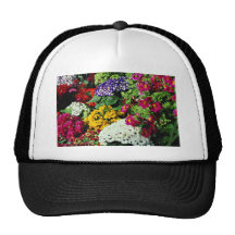 Floral display in Niagara Parks greenhouse, Niagar Mesh Hats