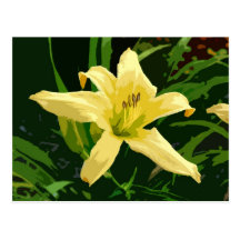 Floral Drama Postcard