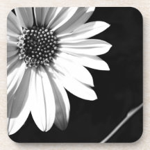 floral drink coasters