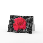 Floral Fantasy Red Carnation Greeting Card