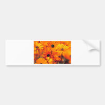 FLORAL FIELDS BUMPER STICKER