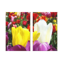 Floral Fine Art prints Canvas Tulip Flowers Stretched Canvas Prints