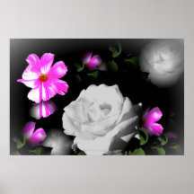 FLORAL GARDEN POSTERS