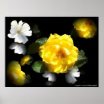 FLORAL GARDEN POSTERS