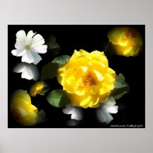 FLORAL GARDEN POSTERS