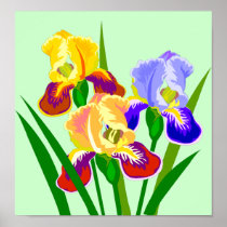 Floral Gifts