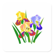 Floral Gifts