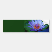 FLORAL GRACE BUMPER STICKER