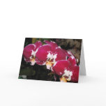 Floral Greeting Card