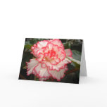 Floral Greeting Card