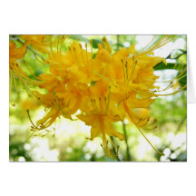 Floral Greeting Card Series - Gold Rhododendron