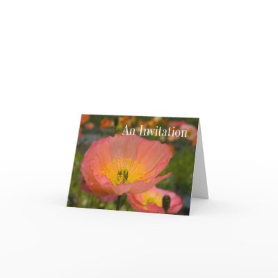 Floral Invitation Card by chris_scroggins