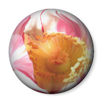 Floral  Magnet magnets