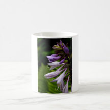 Floral Mug