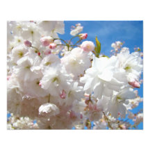 Floral nature Photography prints Blossom Flowers