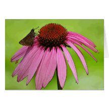 Floral Notecard
