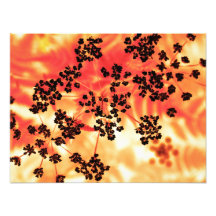 floral photographic print