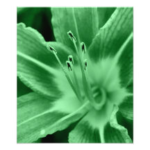floral photographic print