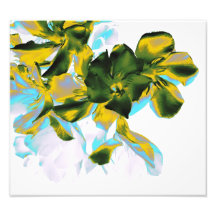 floral photograph