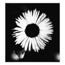 floral photo art