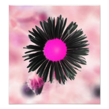 floral photo art