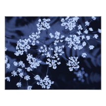 floral photographic print