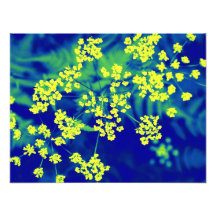 floral photo print