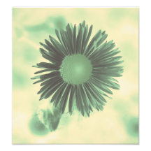 floral photo art