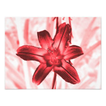 floral photograph