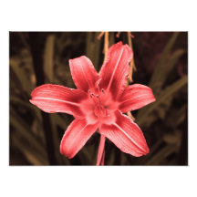 floral photo art