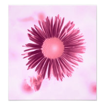 floral art photo
