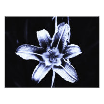 floral photo print