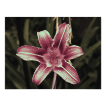 floral photo print