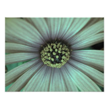 floral photographic print