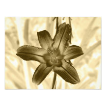 floral photo