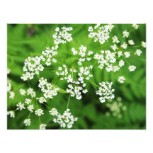 floral art photo