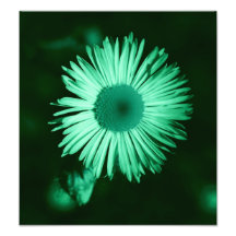 floral art photo