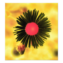 floral photo art
