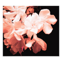 floral art photo