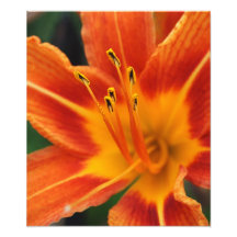 floral photo print
