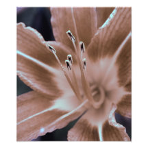 floral photograph